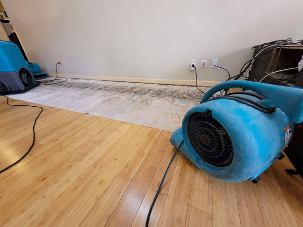Professional Water Damage Repair technician working in Sheridan, TX